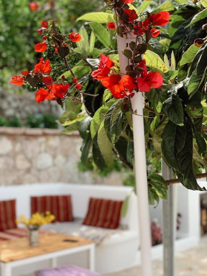 Holiday Home Ali Piqeras Exteriér fotografie